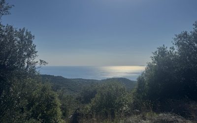 εικόνα_Viber_2025-03-06_10-14-57-045